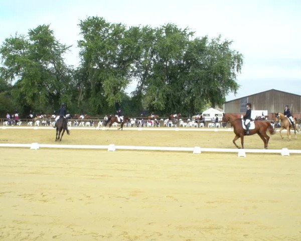 Reitturnier Willich-Anrath-Neersen 2020