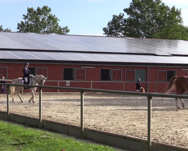 Reitturnier Ascheberg 2020