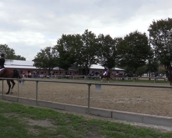 Reitturnier Ascheberg 2020