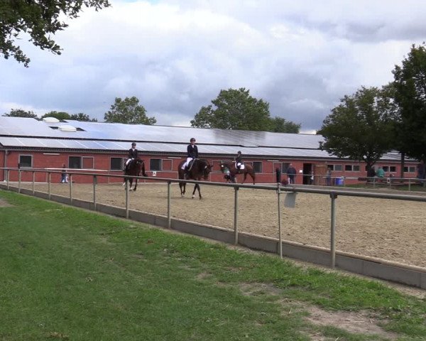 Reitturnier Ascheberg 2020