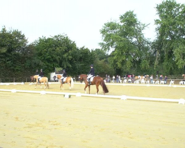 Reitturnier Willich-Anrath-Neersen 2020