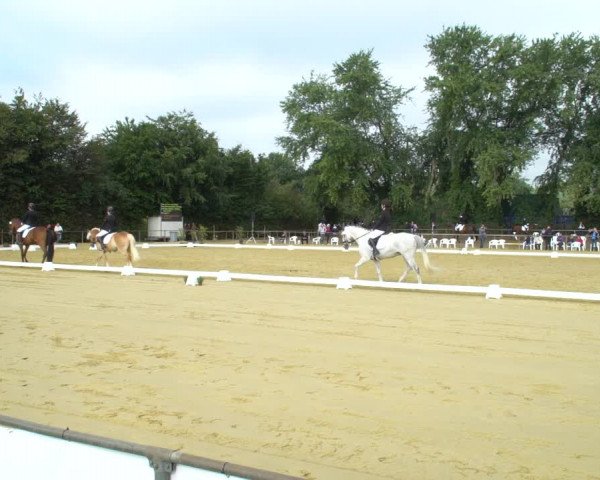 Reitturnier Willich-Anrath-Neersen 2020