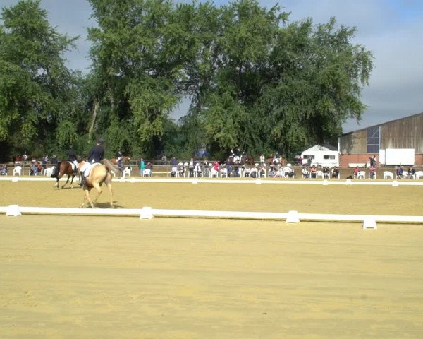 Reitturnier Willich-Anrath-Neersen 2020