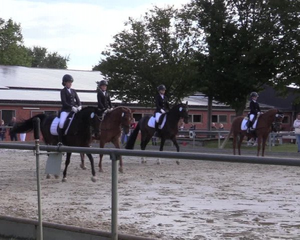 Reitturnier Ascheberg 2020