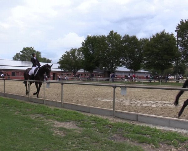 Reitturnier Ascheberg 2020