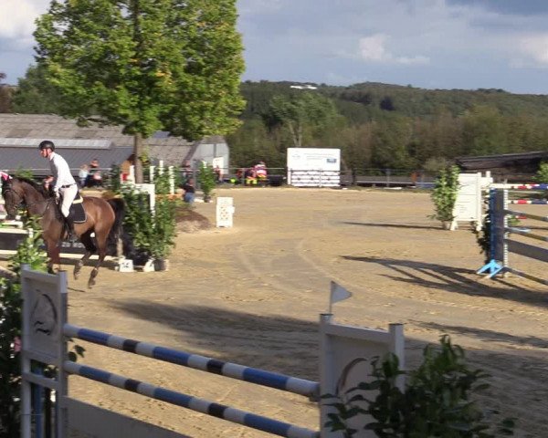 Reitturnier Bühren-Breckerfeld 2020