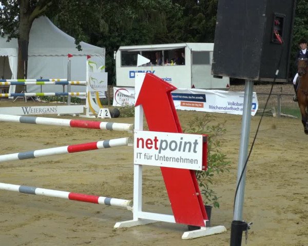 Reitturnier Willich-Anrath-Neersen 2020