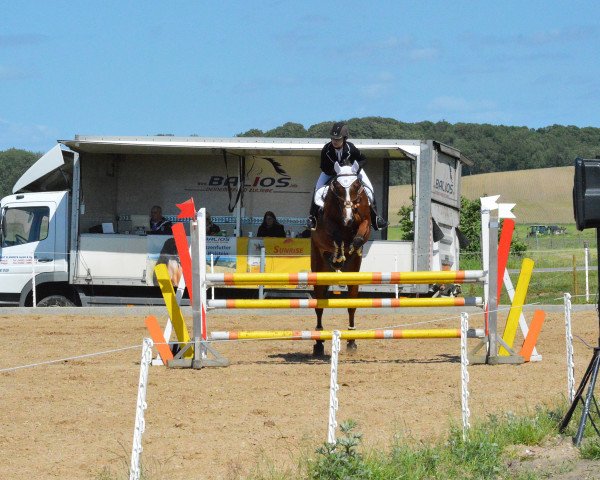 broodmare Penelope 313 (German Warmblood, 2005, from Pay Day I)