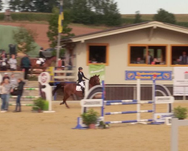 Reitturnier Duderstadt 2020