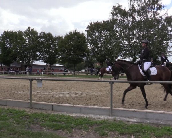 Reitturnier Ascheberg 2020
