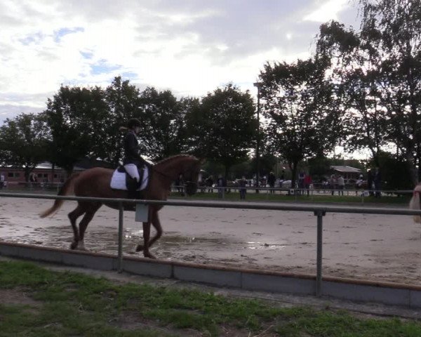 Reitturnier Ascheberg 2020