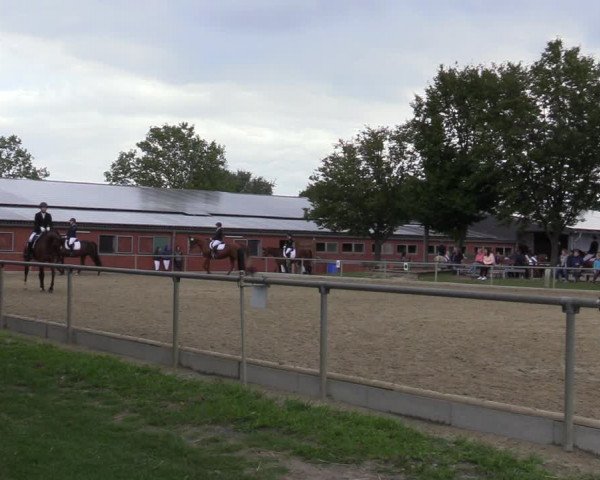 Reitturnier Ascheberg 2020