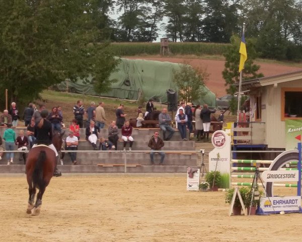 Reitturnier Duderstadt 2020