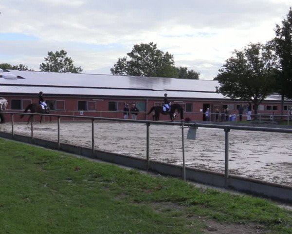 Reitturnier Ascheberg 2020