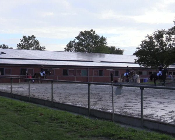 Reitturnier Ascheberg 2020