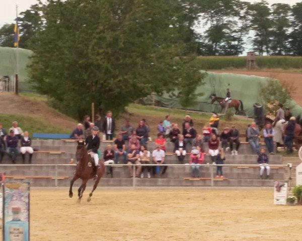 Reitturnier Duderstadt 2020