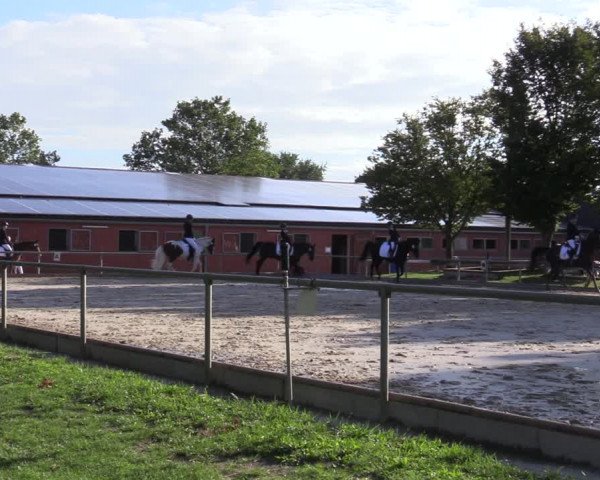 Reitturnier Ascheberg 2020