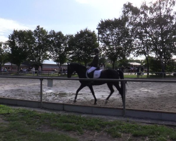 Reitturnier Ascheberg 2020