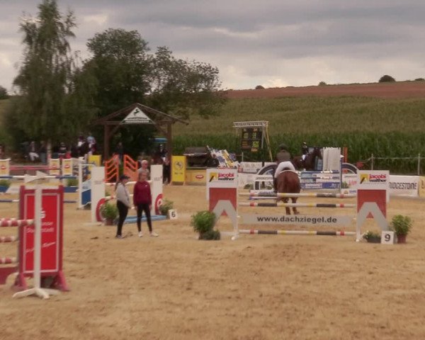 Reitturnier Duderstadt 2020