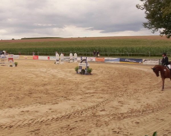 Reitturnier Duderstadt 2020
