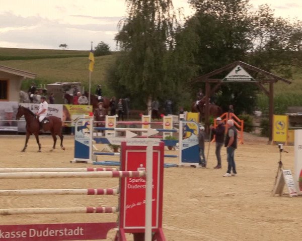 Reitturnier Duderstadt 2020