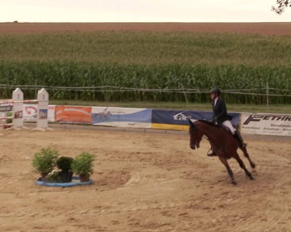 Reitturnier Duderstadt 2020