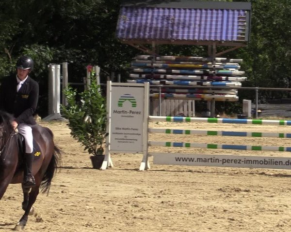 Reitturnier Bühren-Breckerfeld 2020