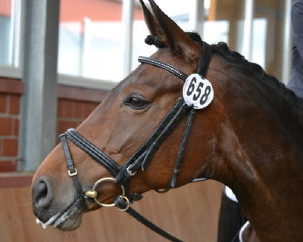 Dressurpferd Lexy Brown (Westfale, 2005, von Lord Loxley I)