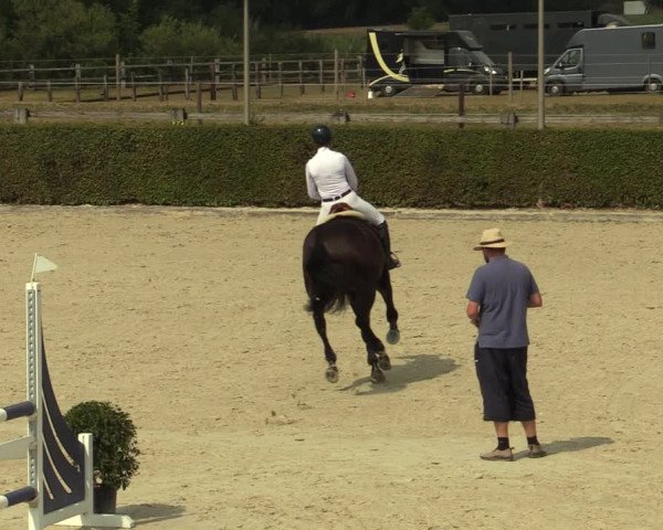 STX CYCLUS Ternat - CS N 6215