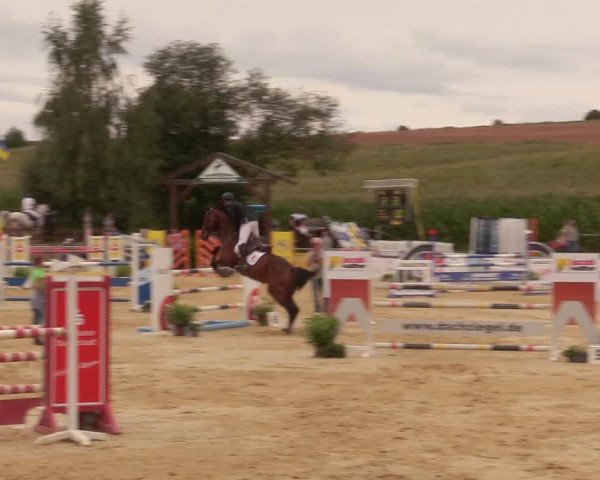 Reitturnier Duderstadt 2020