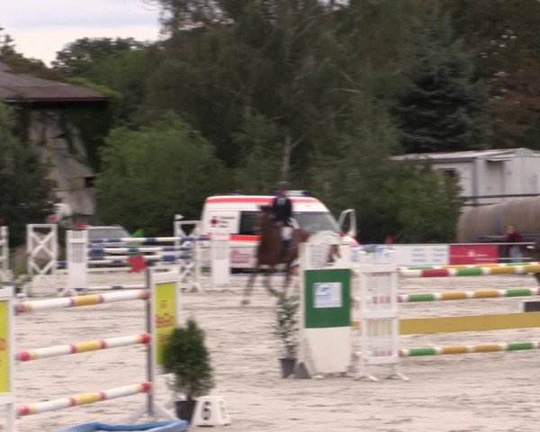 Reitturnier Pietzpuhl 2020
