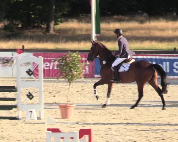 Reitturnier Westergellersen 2020