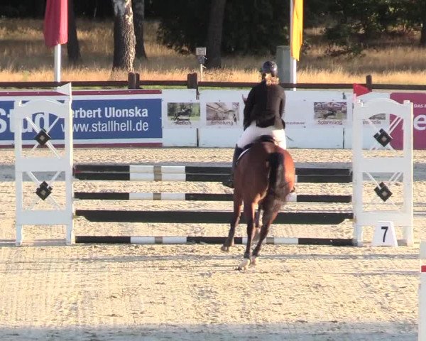 Reitturnier Westergellersen 2020