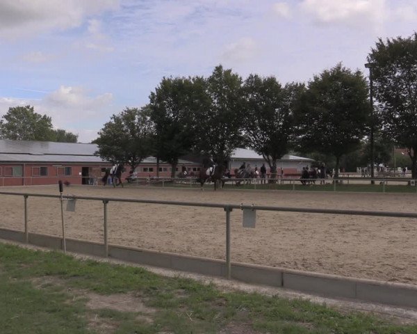 Reitturnier Ascheberg 2020