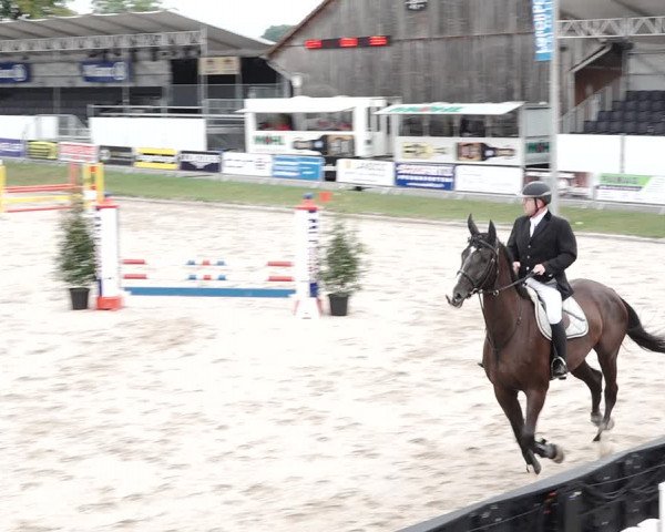 Reitturnier Humlikon 2020