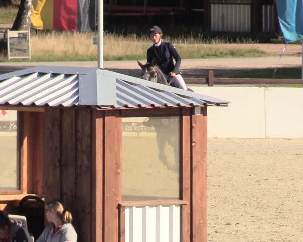 Reitturnier Westergellersen 2020