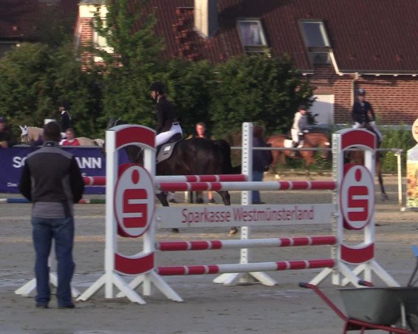 Reitturnier Ascheberg 2020