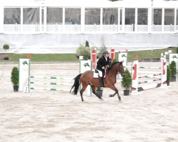 Reitturnier Humlikon 2020
