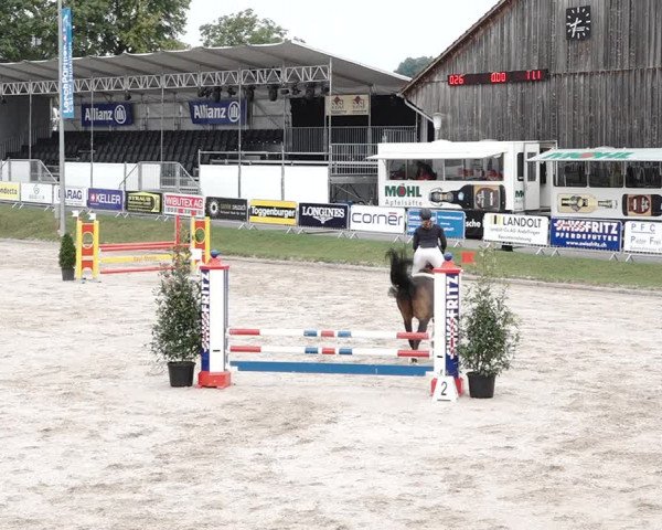 Reitturnier Humlikon 2020
