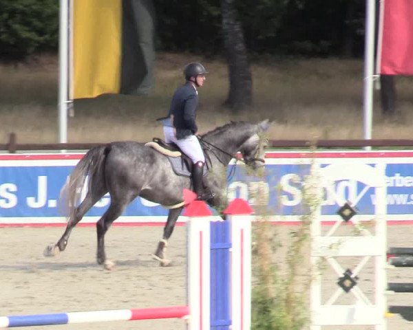 Reitturnier Westergellersen 2020