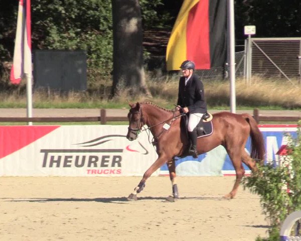 Reitturnier Westergellersen 2020