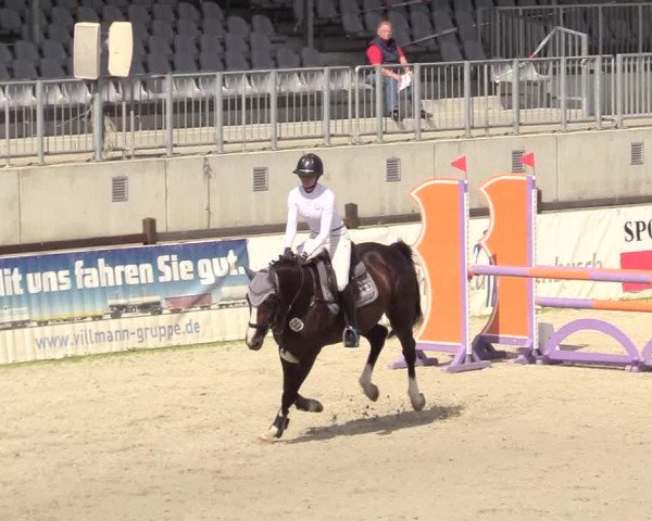Reitturnier Westergellersen 2020