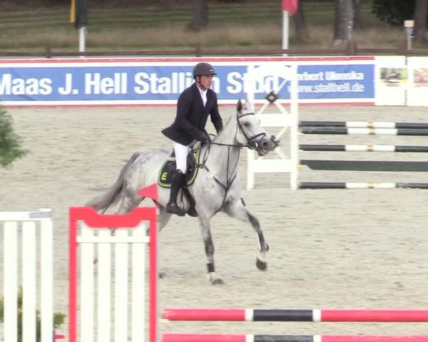 Reitturnier Westergellersen 2020