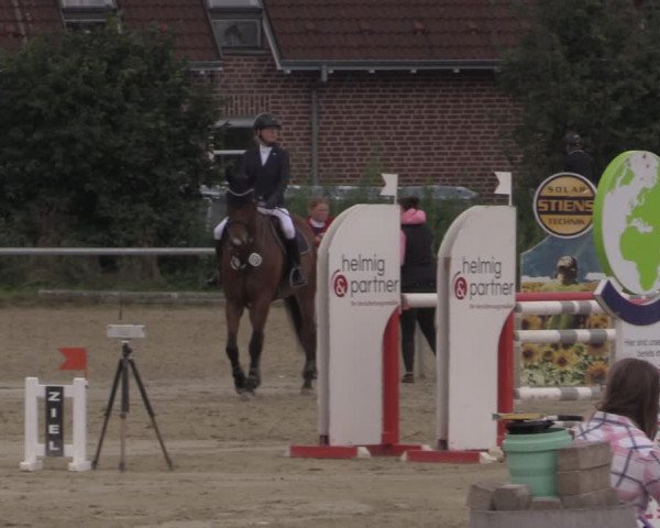 Reitturnier Ascheberg 2020