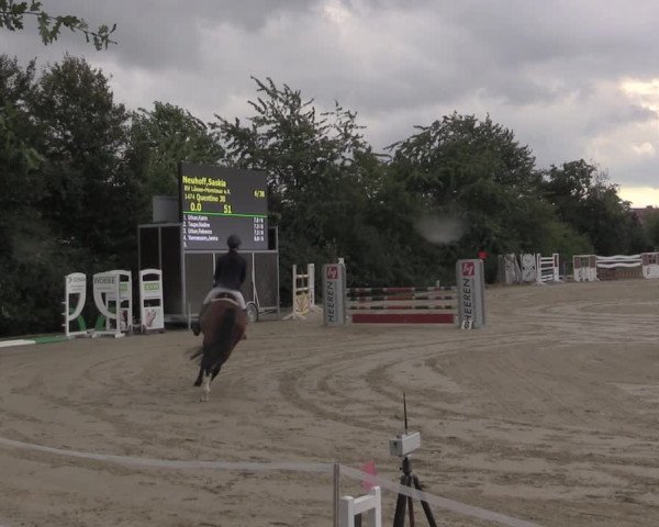 Reitturnier Ascheberg 2020