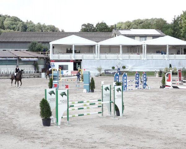 Reitturnier Humlikon 2020