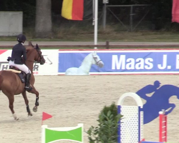 Reitturnier Westergellersen 2020