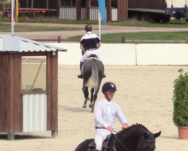 Reitturnier Westergellersen 2020