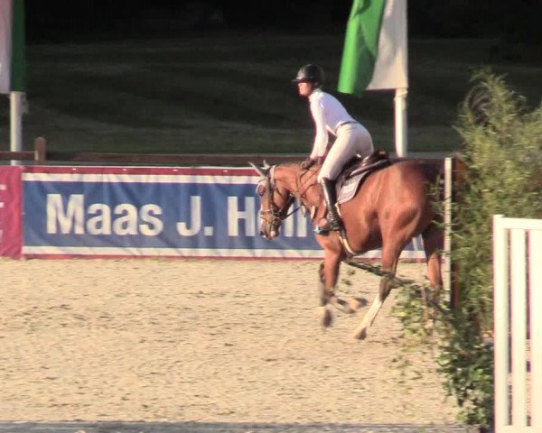 Reitturnier Westergellersen 2020