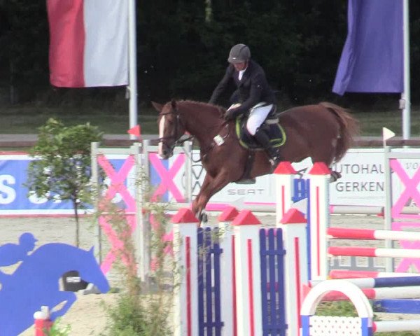 Reitturnier Westergellersen 2020